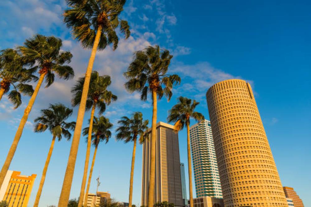 Exploring Tampa: attractions, theme parks, and more