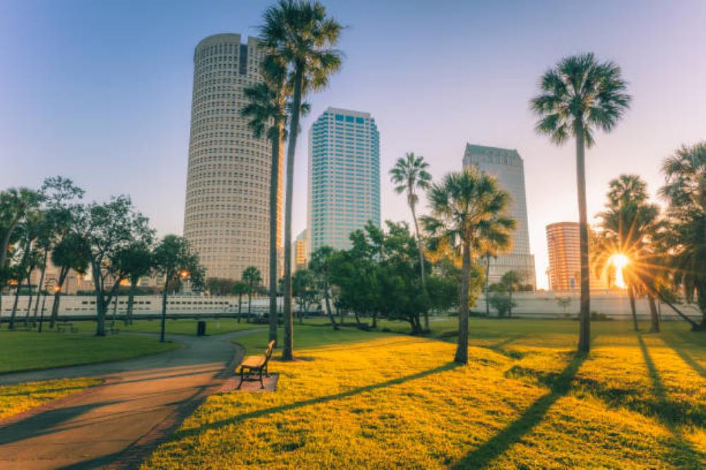 Exploring Tampa: attractions, theme parks, and more